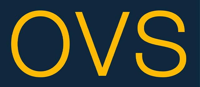 OVS Underwear
